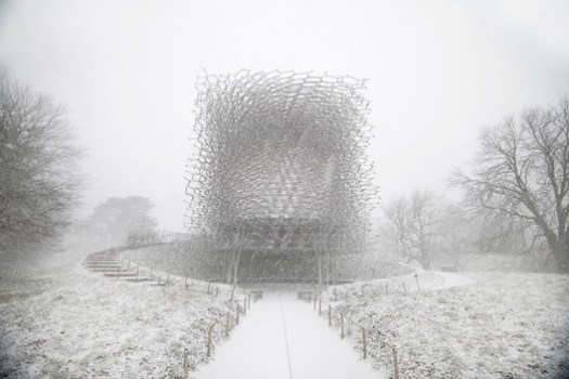 The Hive at the Royal Botanic Gardens, Kew, UK, during winter by Wolfgang Buttress. Image © Jeff Eden