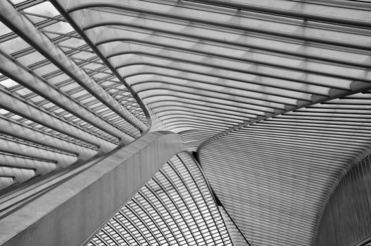 The ceiling of Liege-Guillemins station in Belgium by Santiago Calatrava. Image © Suraj Garg